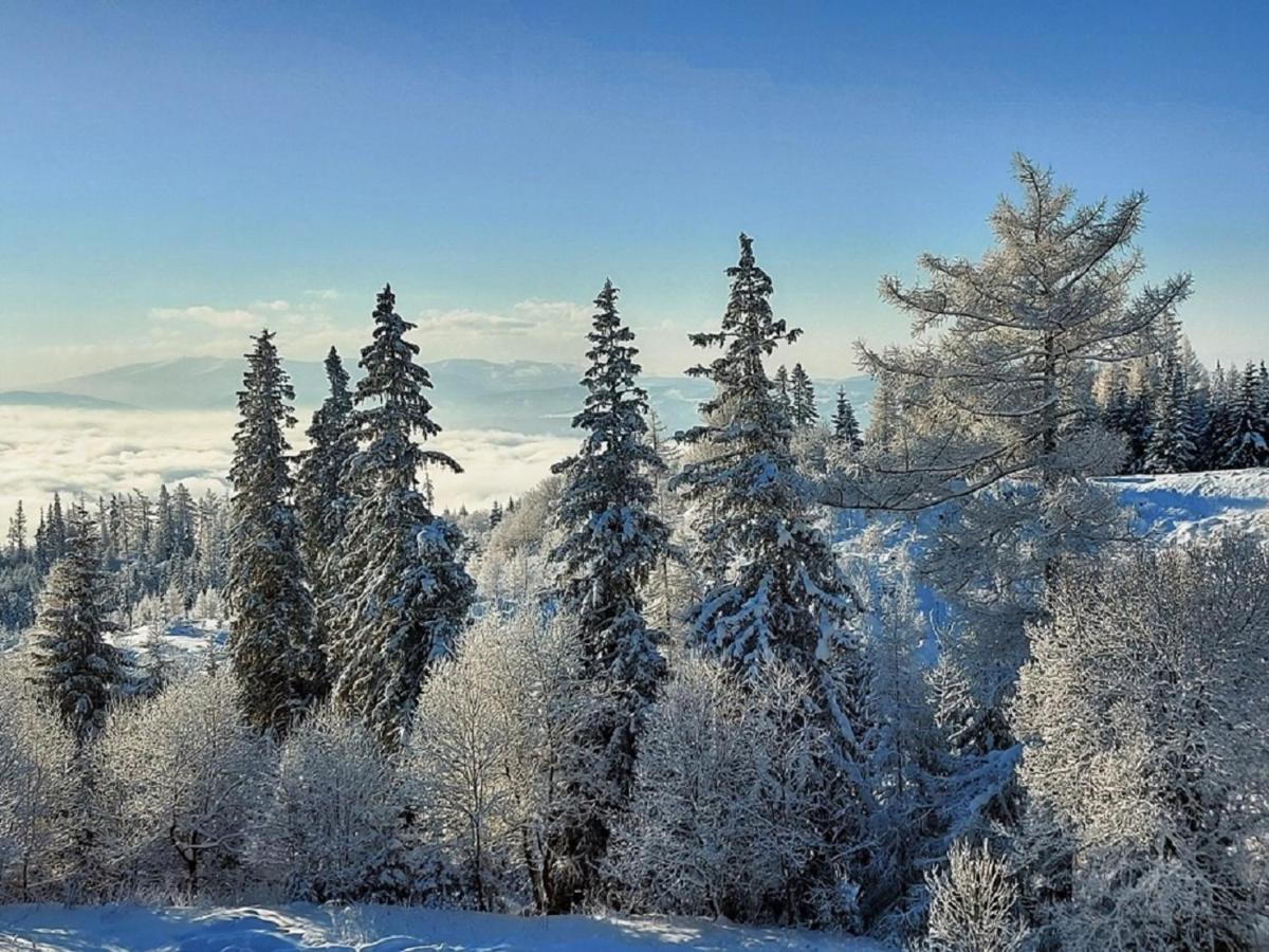 Strbske Pleso - Rezidencia Armeria Apt 30 Екстериор снимка